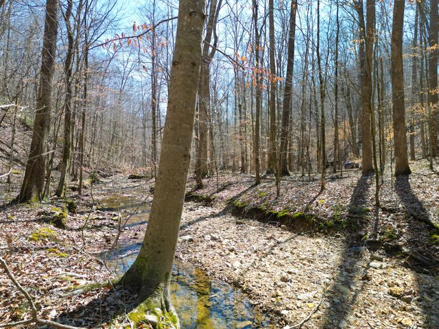 1 Bandy Rd, Ashland City, TN 37015
