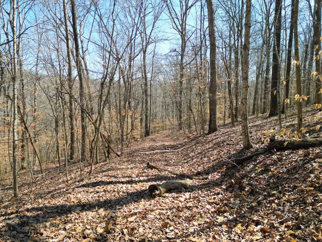 1 Bandy Rd, Ashland City, TN 37015