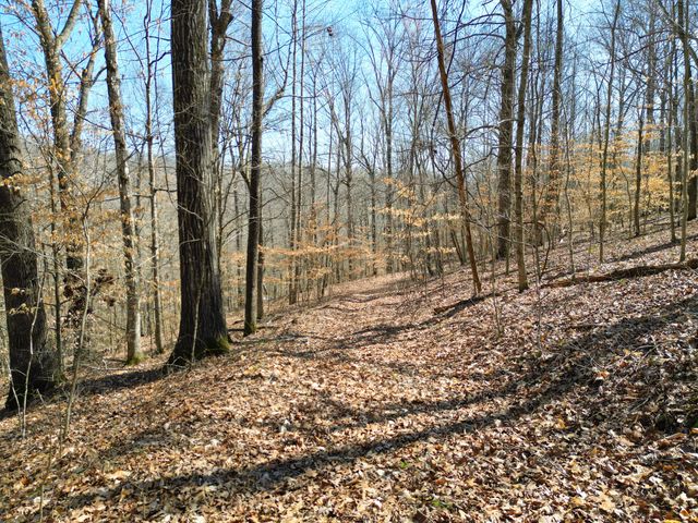 1 Bandy Rd, Ashland City, TN 37015