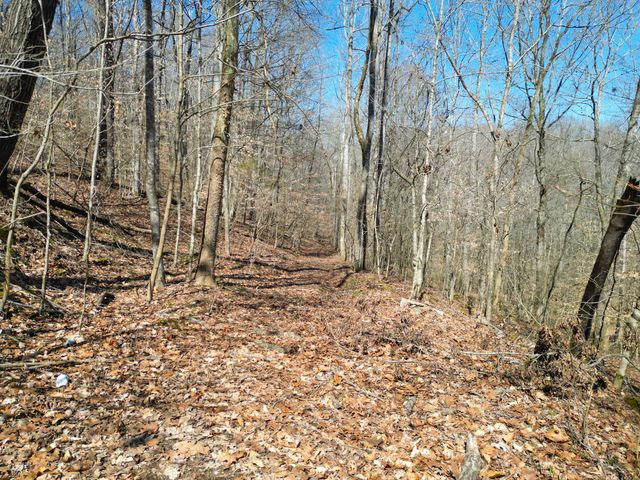 1 Bandy Rd, Ashland City, TN 37015
