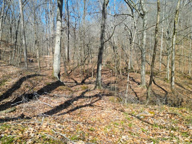 1 Bandy Rd, Ashland City, TN 37015