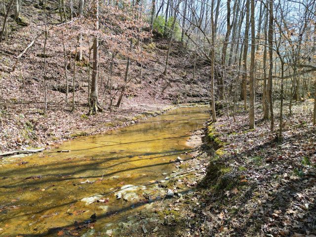 1 Bandy Rd, Ashland City, TN 37015