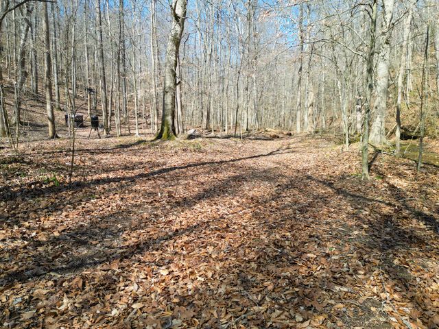 1 Bandy Rd, Ashland City, TN 37015