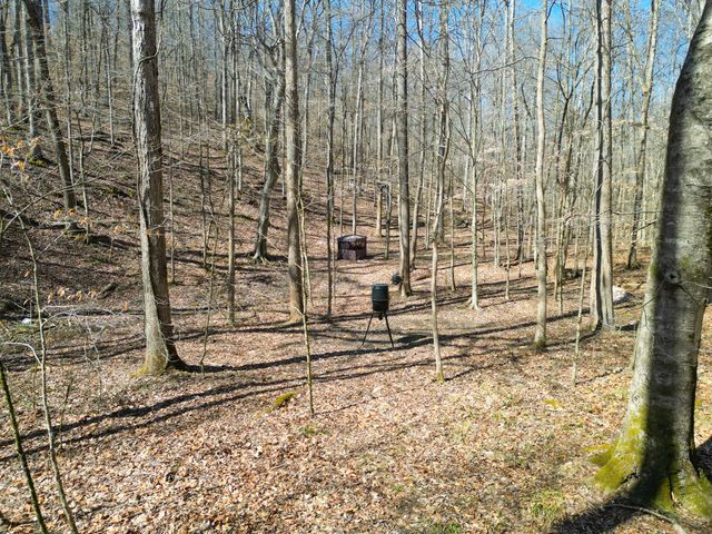 1 Bandy Rd, Ashland City, TN 37015