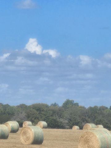 TBD FM 3486 3, Terrell, TX 75160