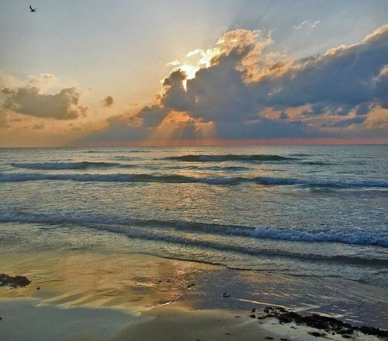 1108 Bass Ave, Port Isabel, TX 78578