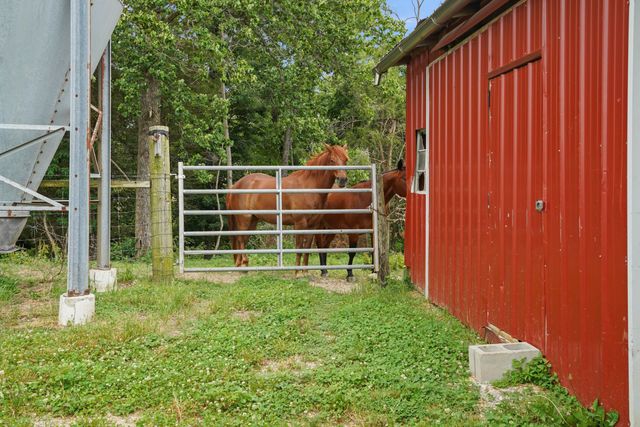 599 Watson Chapel Road, Liberty, KY 42539