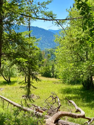 0 Mule Creek-Marial Road, Agness, OR 97406