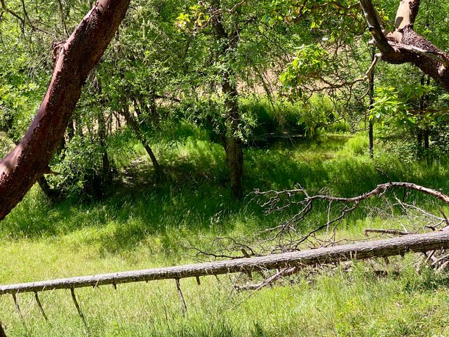 0 Mule Creek-Marial Road, Agness, OR 97406