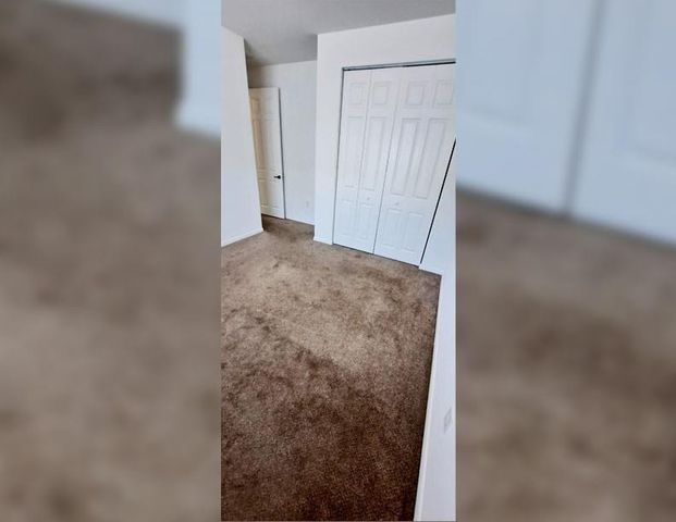 5542 Useppa Drive, Ave Maria, FL 34142