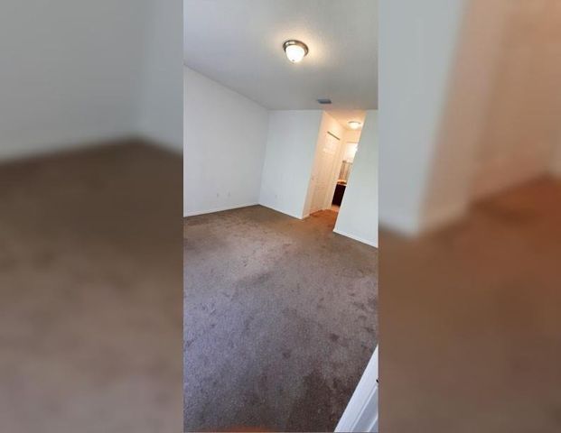 5542 Useppa Drive, Ave Maria, FL 34142