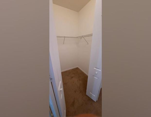 5542 Useppa Drive, Ave Maria, FL 34142