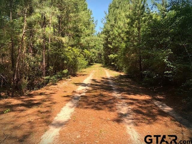 9490 S State Highway 19, Lovelady, TX 75851