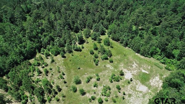 9490 S State Highway 19, Lovelady, TX 75851