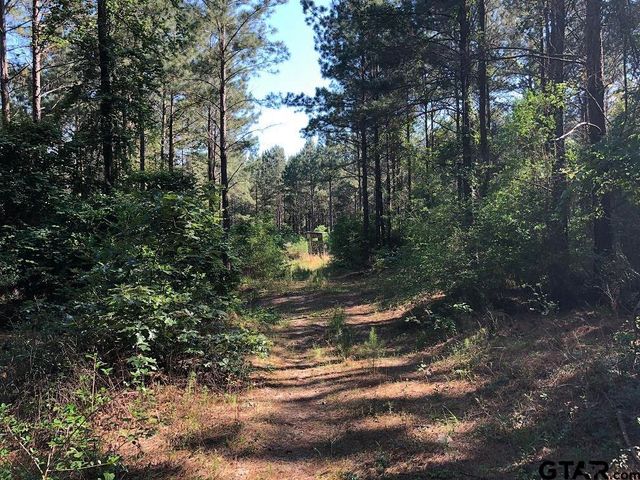9490 S State Highway 19, Lovelady, TX 75851