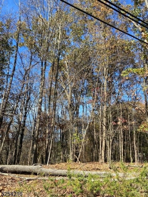 0 Terhune Dr, Wayne Twp., NJ 07470 — photo 4