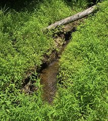 Lot 3469 Fir Lane, Ellijay, GA 30540