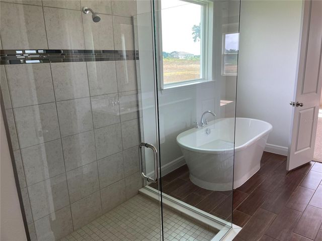 10067 DOLPHIN GULL CIRCLE, Thonotosassa, FL 33592