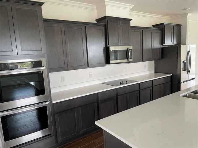 10067 DOLPHIN GULL CIRCLE, Thonotosassa, FL 33592