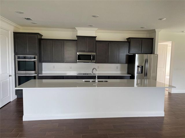 10067 DOLPHIN GULL CIRCLE, Thonotosassa, FL 33592