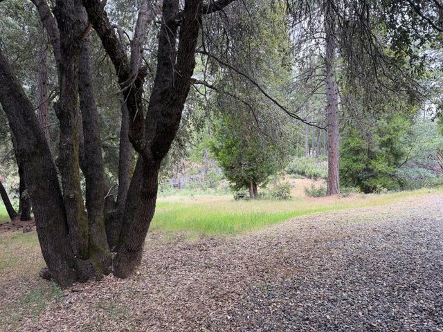 18834 Potternoff Rd, Mokelumne Hill, CA 95245