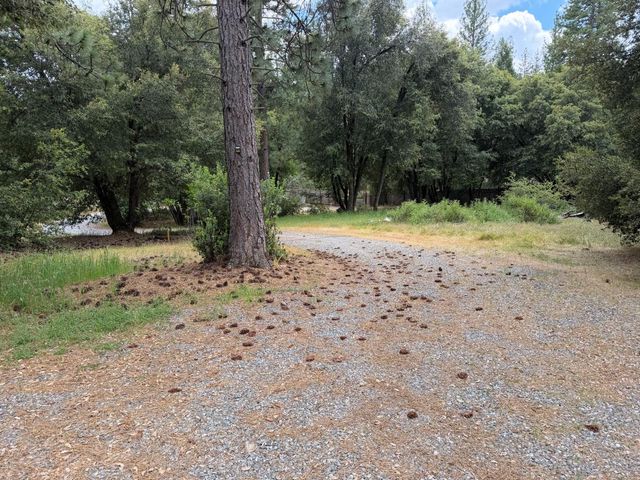 18834 Potternoff Rd, Mokelumne Hill, CA 95245
