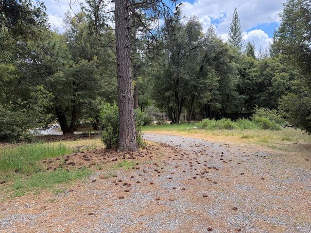18834 Potternoff Rd, Mokelumne Hill, CA 95245