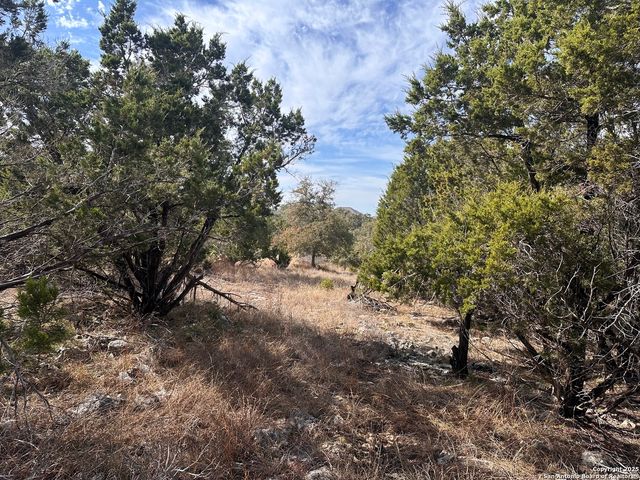350 Iron Hill, New Braunfels, TX 78132