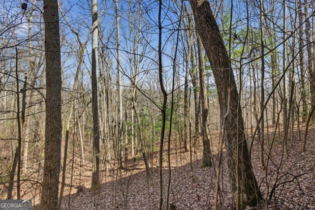 318 Wilmot Fabus Mountain Road, Blairsville, GA 30512