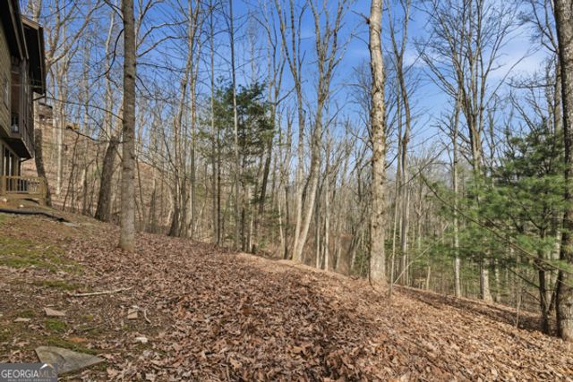 318 Wilmot Fabus Mountain Road, Blairsville, GA 30512