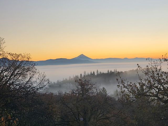 198 Flamingo Drive, Eagle Point, OR 97524