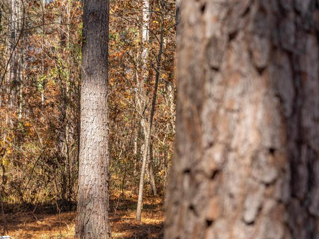 06 Mill Pine Road, Liberty, SC 29657