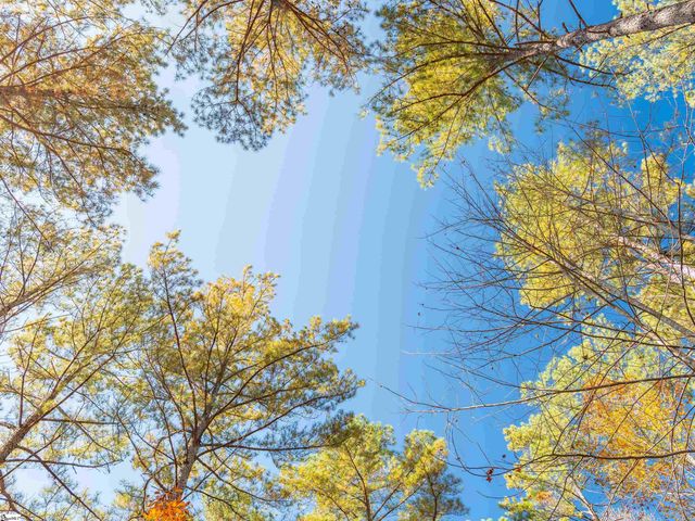 06 Mill Pine Road, Liberty, SC 29657