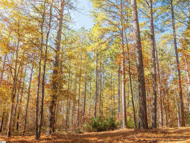 06 Mill Pine Road, Liberty, SC 29657