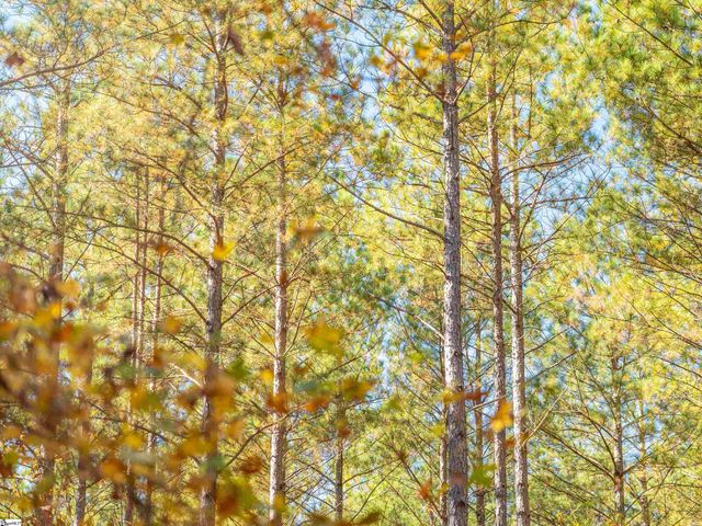 06 Mill Pine Road, Liberty, SC 29657