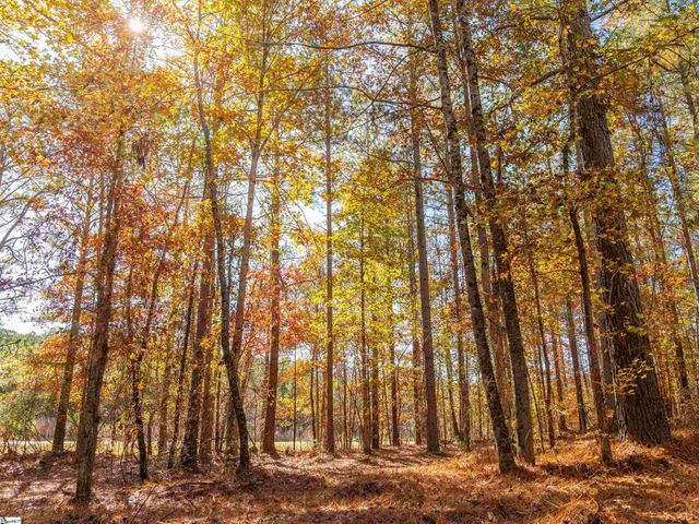 06 Mill Pine Road, Liberty, SC 29657