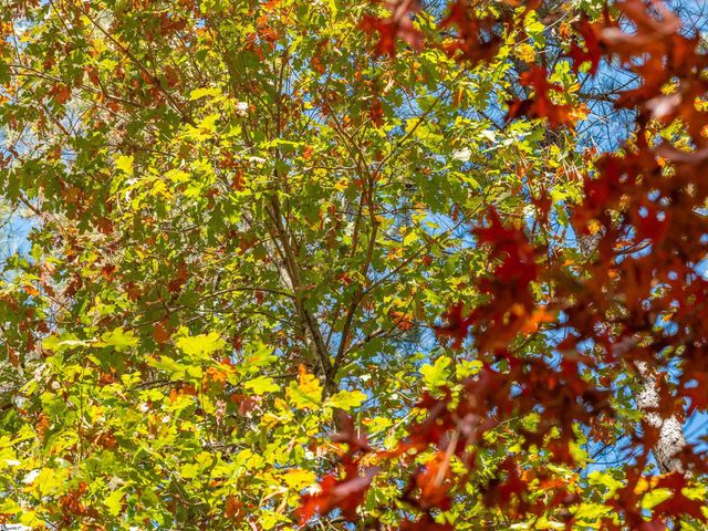 06 Mill Pine Road, Liberty, SC 29657