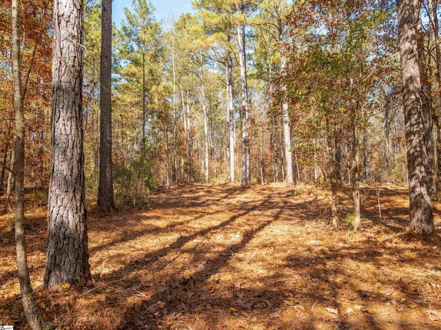 06 Mill Pine Road, Liberty, SC 29657