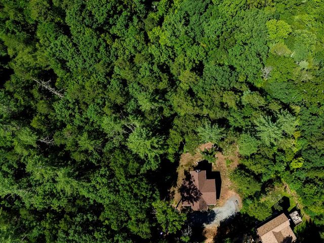 155 Hawks Ridge Drive, Mineral Bluff, GA 30559