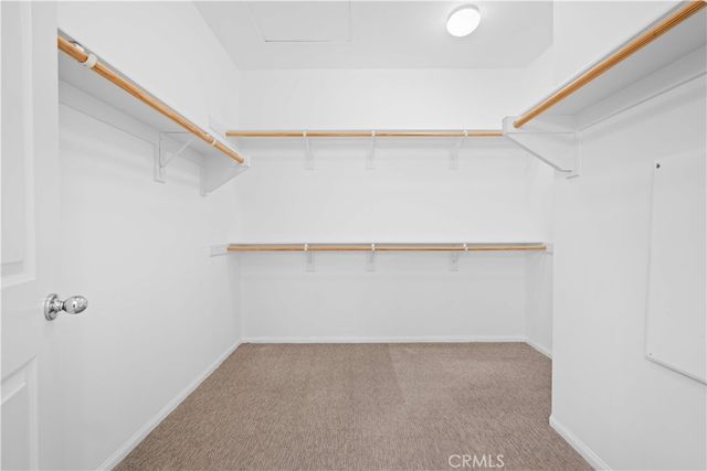 145 Mongoose, Irvine, CA 92618