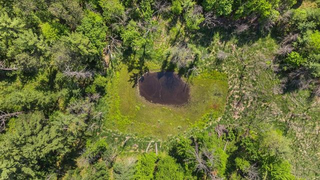 1751 BUTTERCUP AVENUE, Arkdale, WI 54613