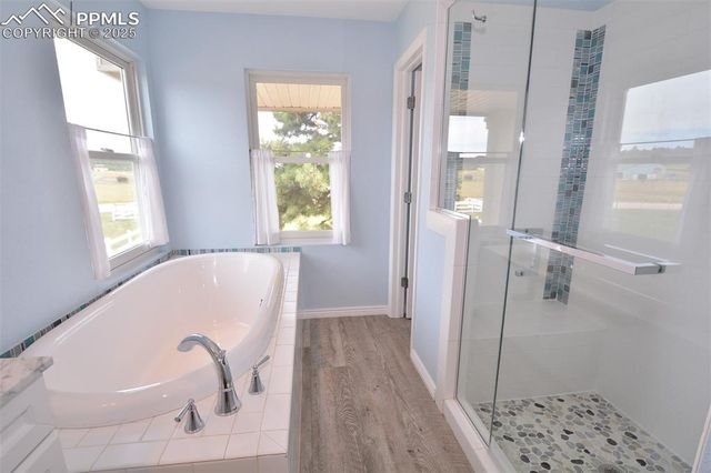 18040 Saddlewood Road, Monument, CO 80132