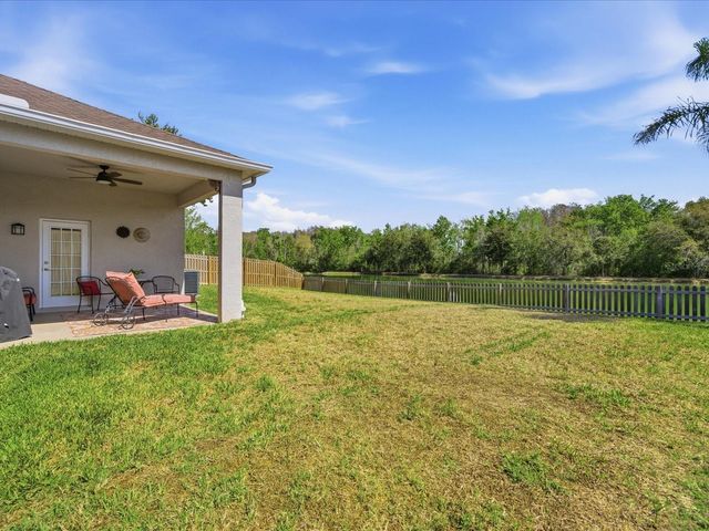 3825 GRAND FORKS DRIVE, Land O Lakes, FL 34639