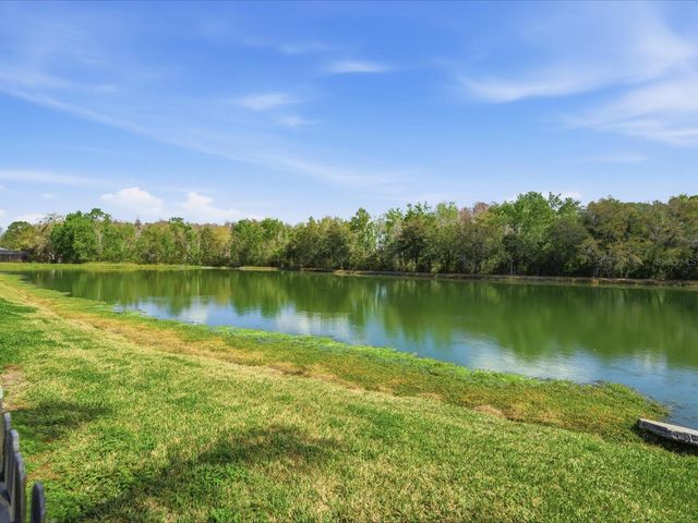 3825 GRAND FORKS DRIVE, Land O Lakes, FL 34639