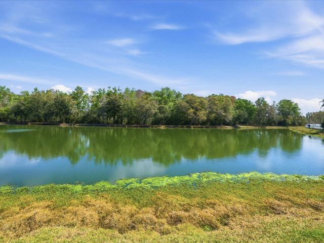 3825 GRAND FORKS DRIVE, Land O Lakes, FL 34639