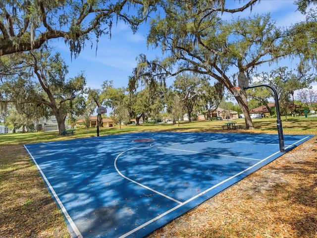 3825 GRAND FORKS DRIVE, Land O Lakes, FL 34639