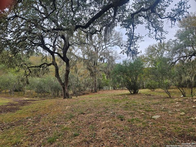 481 RIVER CHASE WAY, New Braunfels, TX 78132