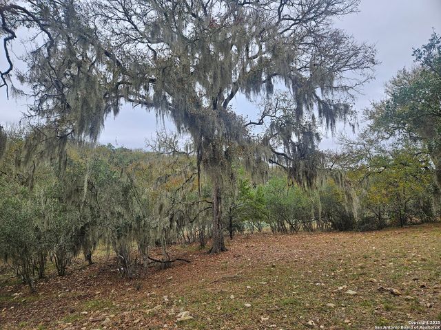 481 RIVER CHASE WAY, New Braunfels, TX 78132