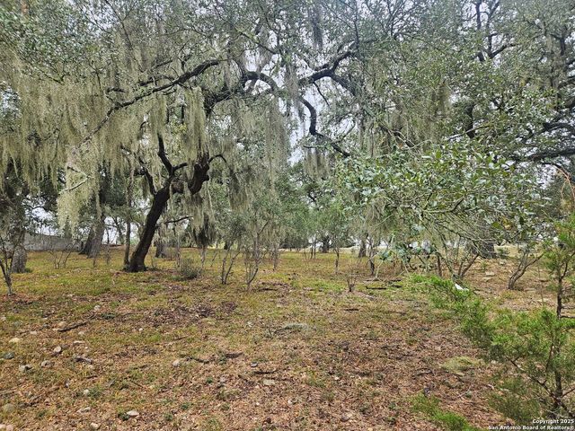 481 RIVER CHASE WAY, New Braunfels, TX 78132