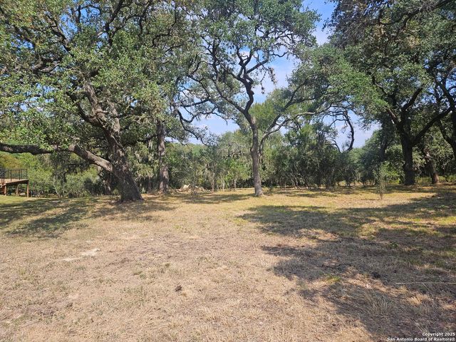 481 RIVER CHASE WAY, New Braunfels, TX 78132